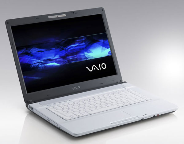 Sony Vaio Fe